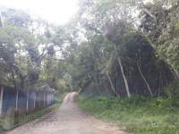 estrada terreno Taia�upeba