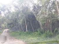 estrada terreno Taia�upeba