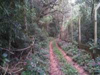 rural Taia�upeba