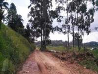 rural Taia�upeba